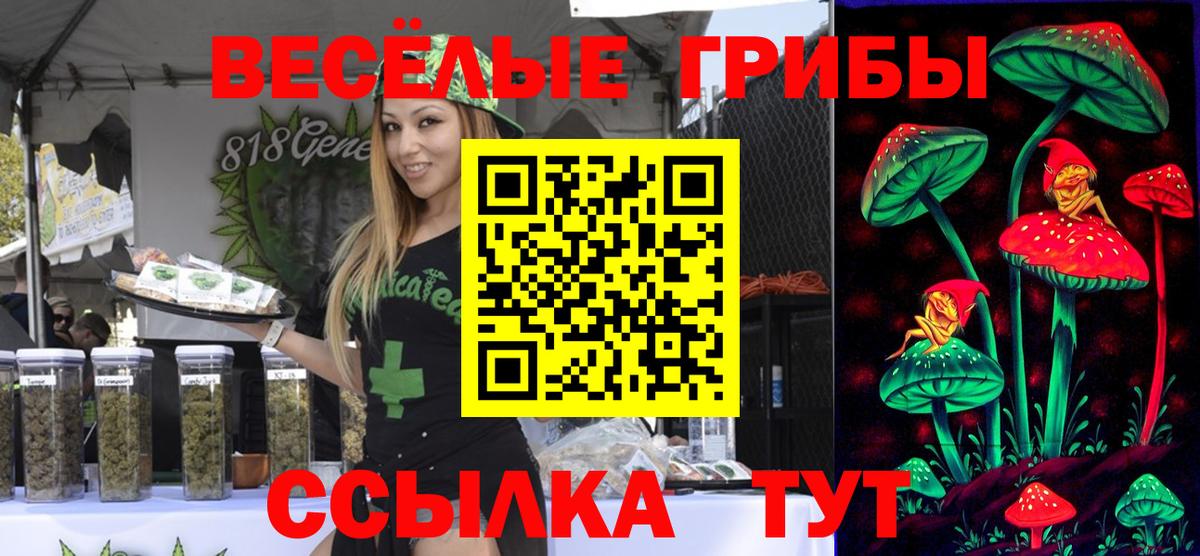 где можно купить наркотик  Вход с VPN  Кирово-Чепецк  Галлюциногенные грибы Magic Shrooms 
